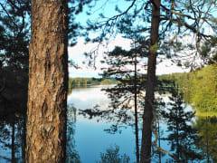 Rentokettu, luonto-opastus 3-5km Nuuksion kansallispuistossa