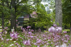 Suviranta - Eero ja Saimi Järnefeltin taiteilijakoti