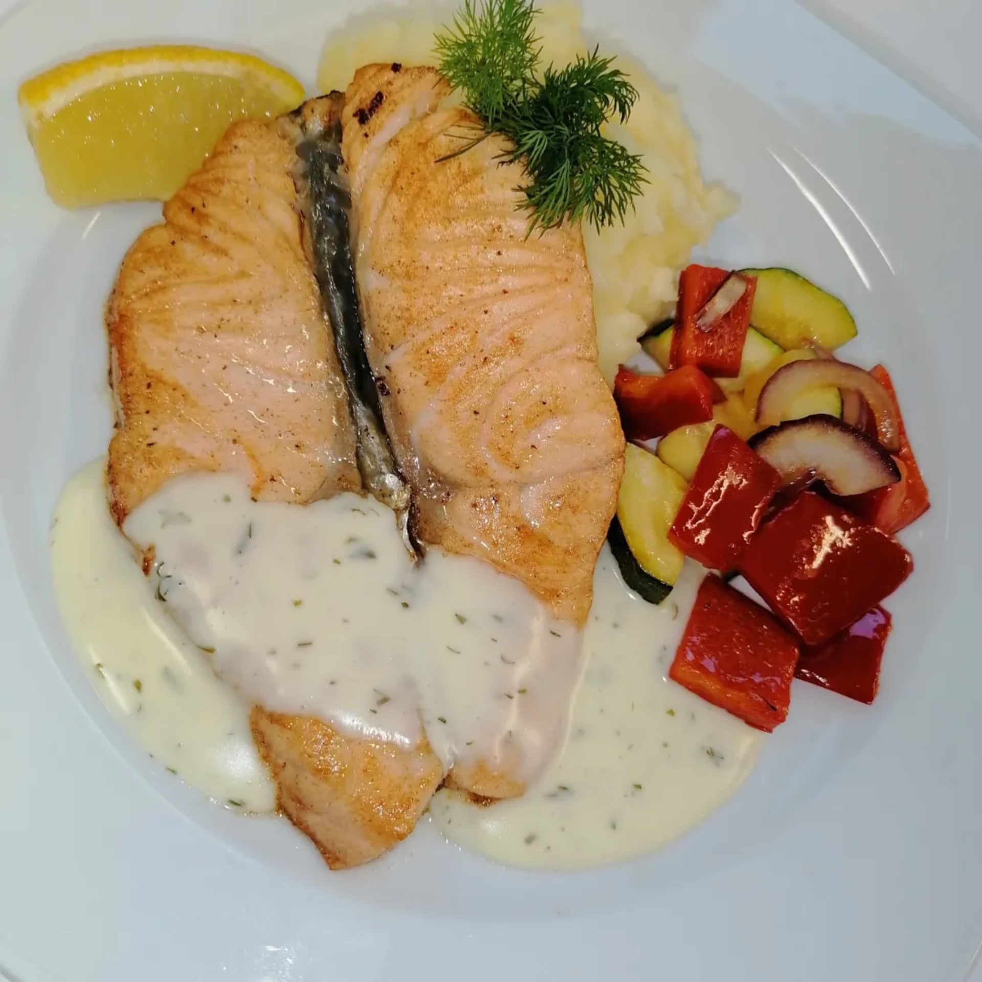 Rainbow trout