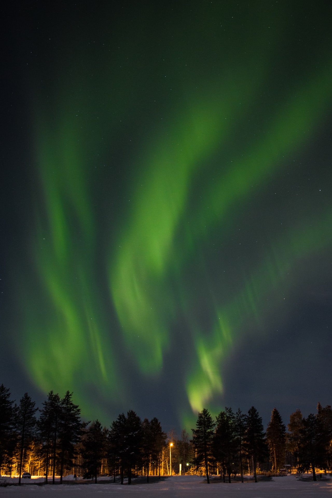 Aurora Borealis dancing in the night sky