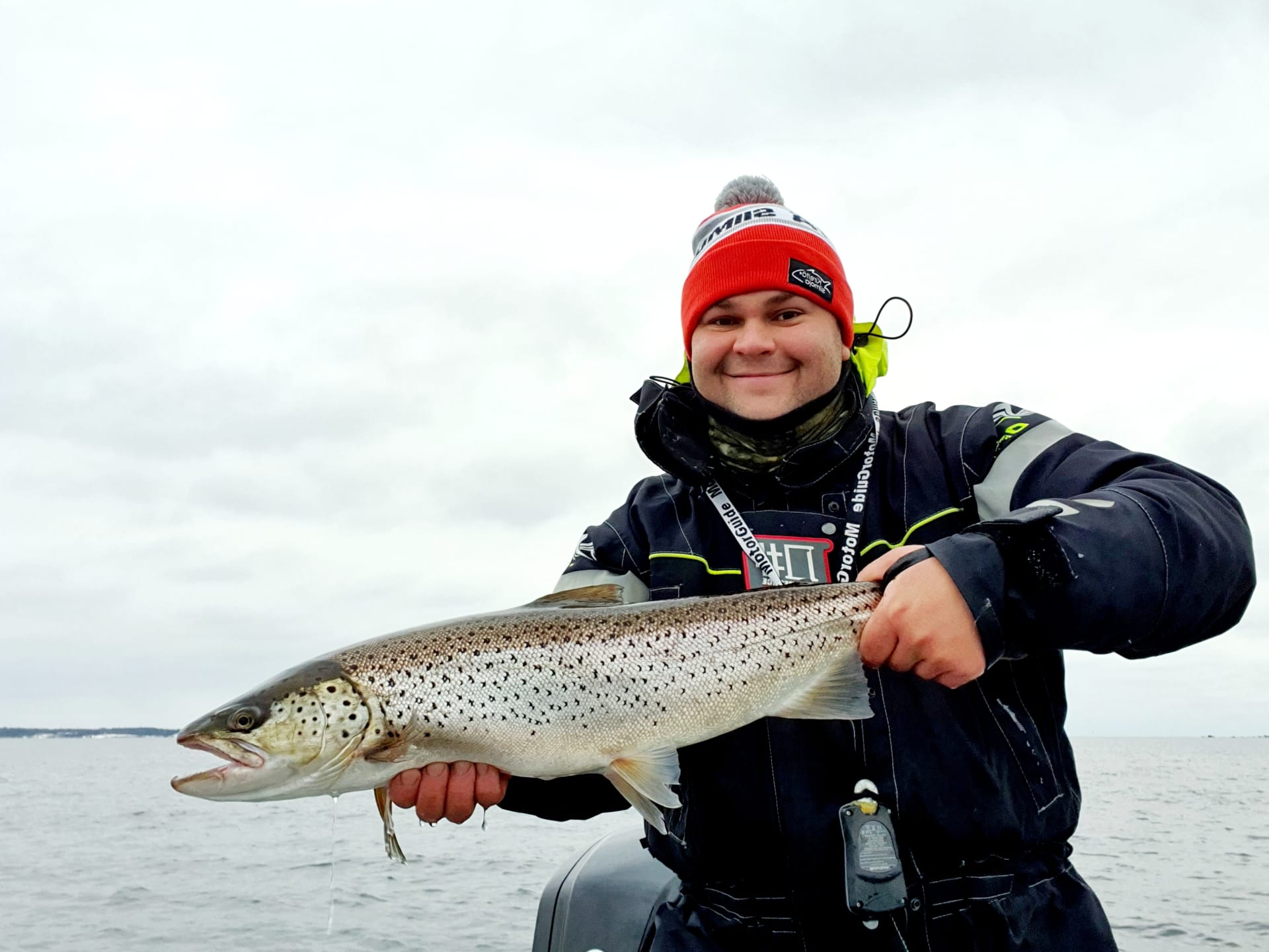 Sea trout
