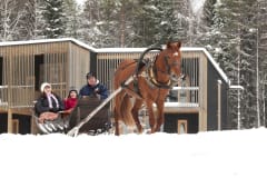 Joulu Saimaanranta Resortissa Anttolassa.