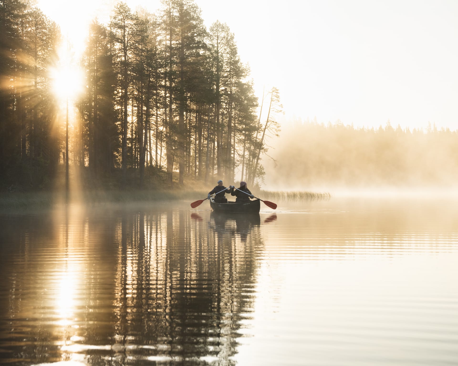 Rowing a boat on a misty summer night