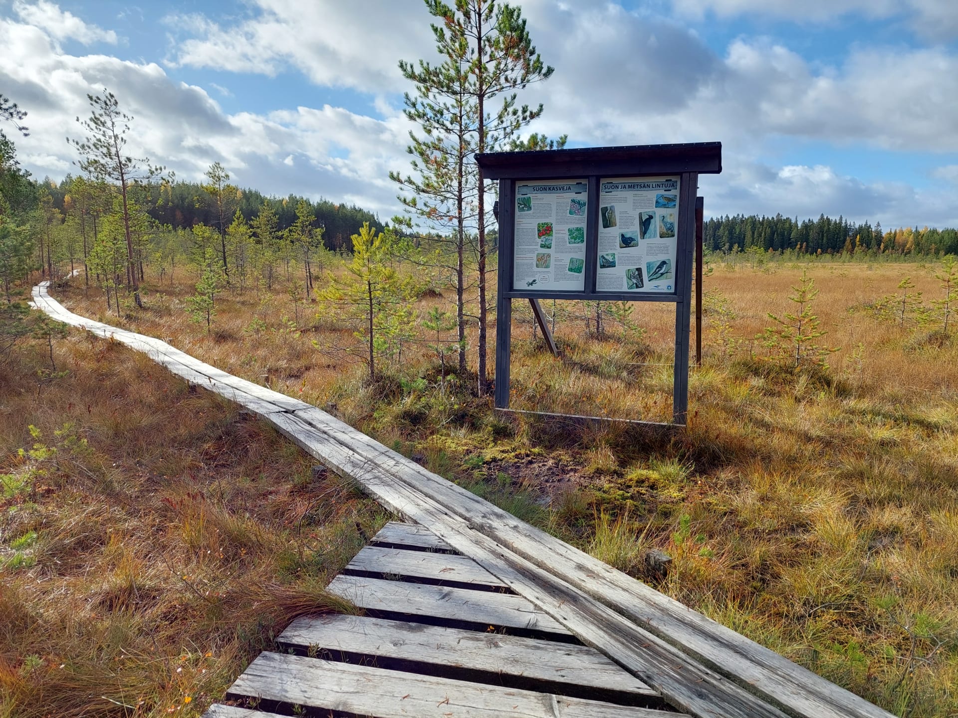 Hämmäauteen suo, pitkospuut ja kyltti, jossa tietoa suoalueesta