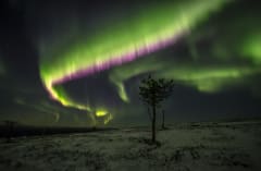 Revontulien metsästysretki minibussilla