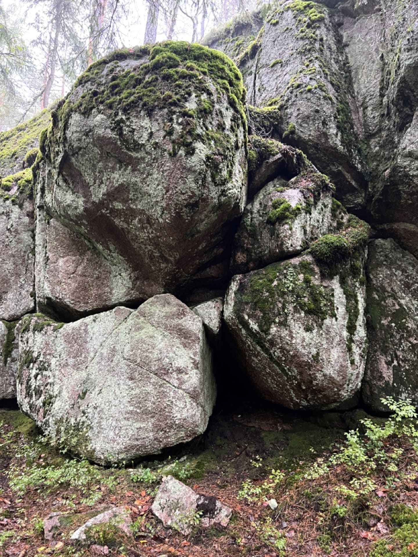 Big rocks in forest
