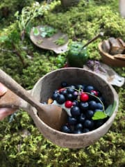 Metsän viemää – elvyttävä luontoelämys