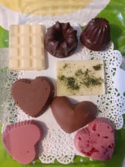 Hand made chocolates with Finnish berries and herbs