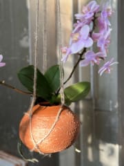 Jatkokurssi Dreijauksen Bootcamp