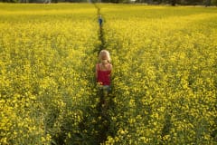 A girl is walking in the middle of the fields
