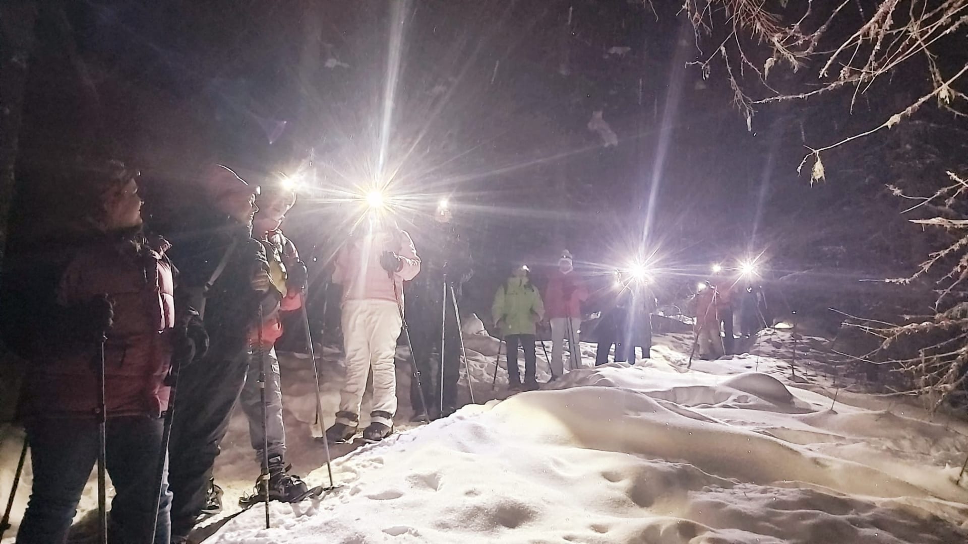 Snowshoeing_in_the_evening
