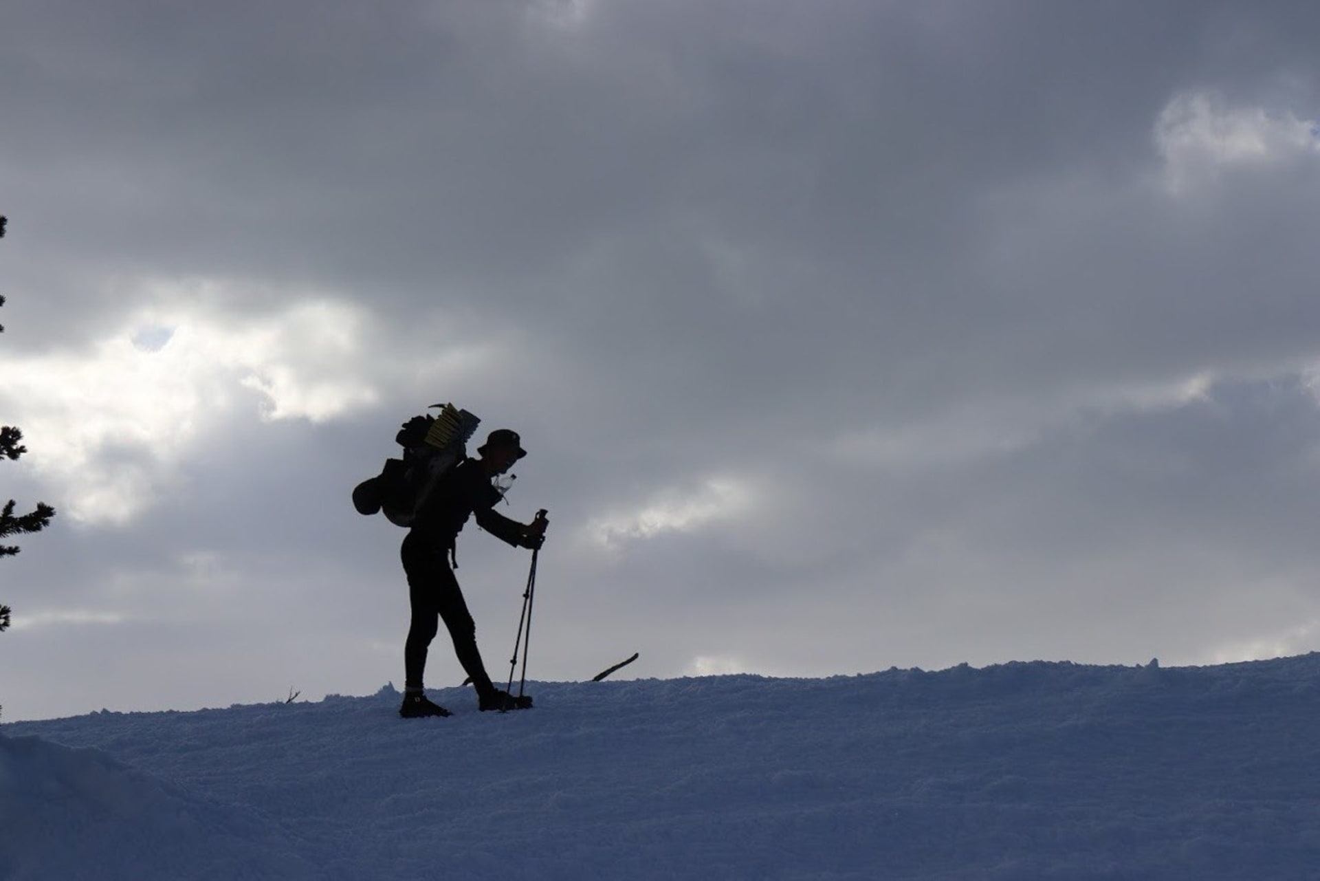Snowshoeing guided safari tour