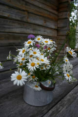 Saunan voi koristella myös muilla kukilla.