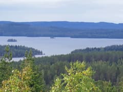 Kesäinen maisema Loukkuvuoren laelta Etelä-Konneveden kansallispuistosta. Metsää ja järvi. Kuva: Tiina Hakkarainen