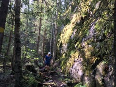 Etelä-Konneveden kansallispuisto