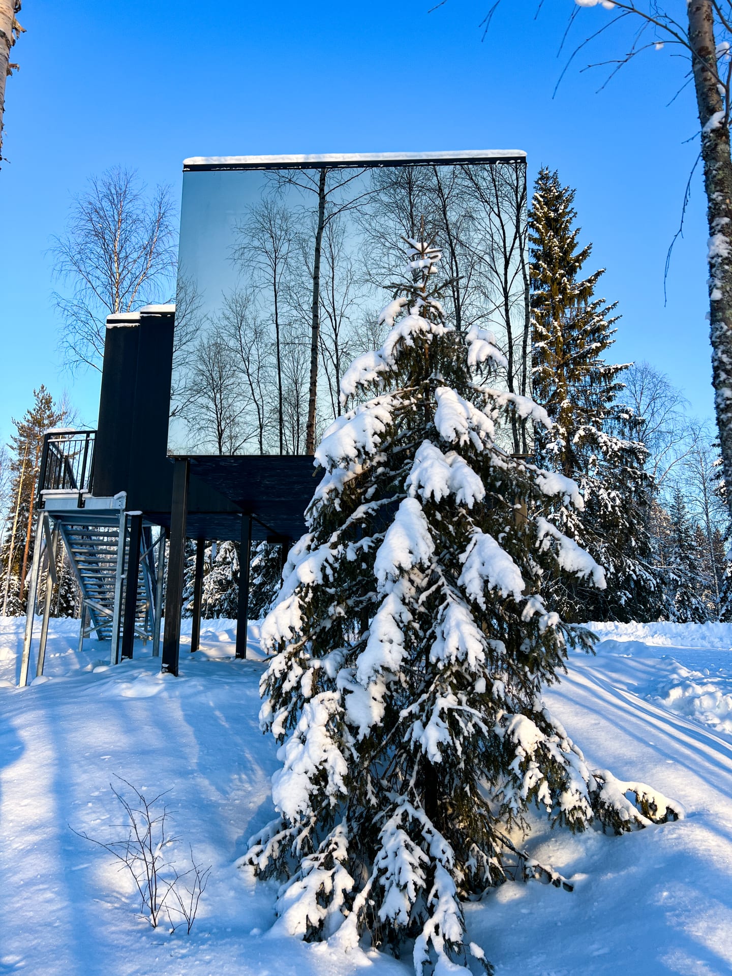 Silver Birch Resort