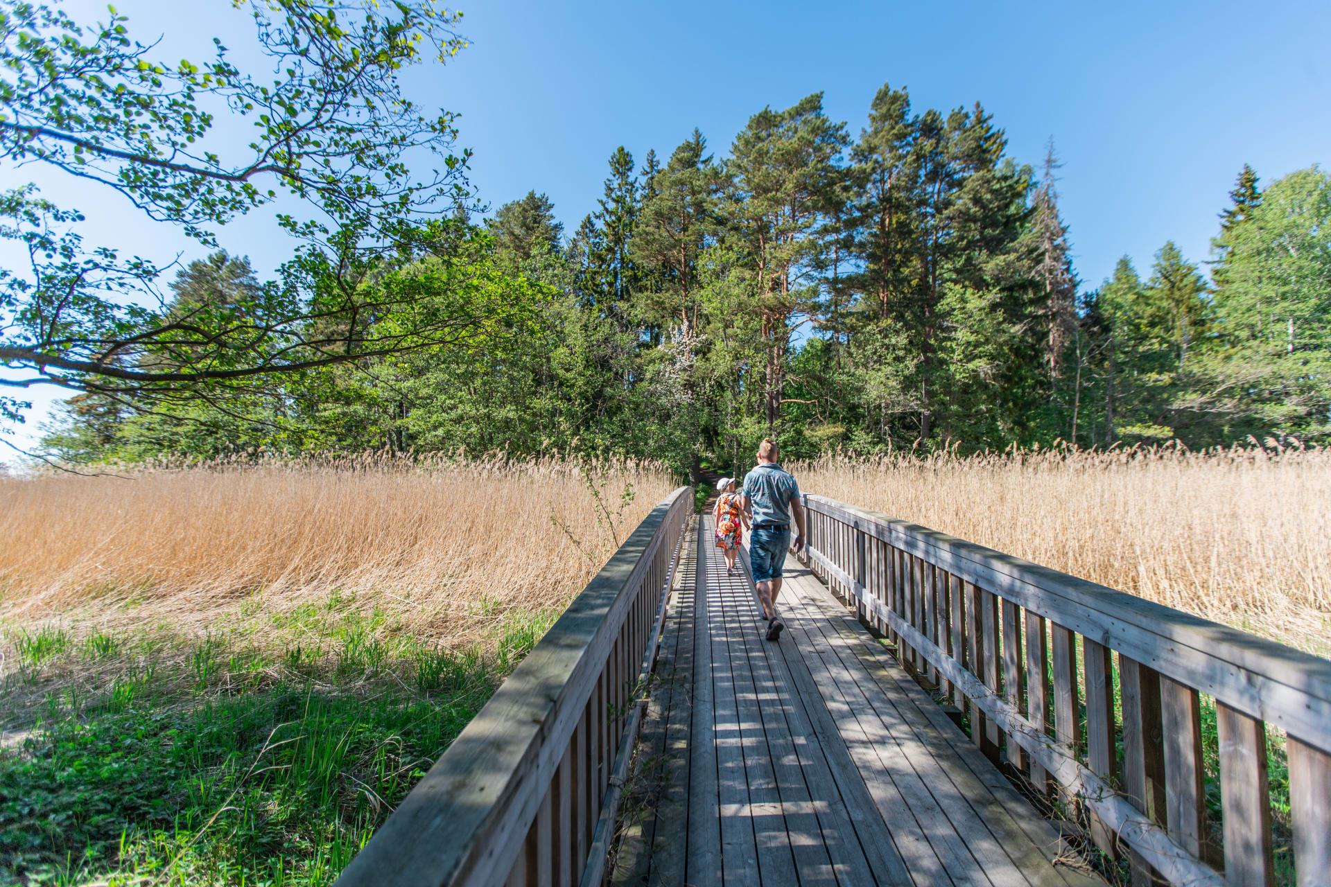 Likholmen -Korpo Likholmen -Korpo