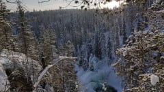 Lumikenkäretki Oulangan koskille (yksityinen retki omalla porukalla)