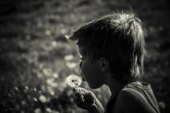 Rinkelinkadun Pojat - opastettu kierros