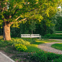 Hupisaaret city park with trees and white benches