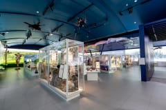 Pääsyliput Siidaan