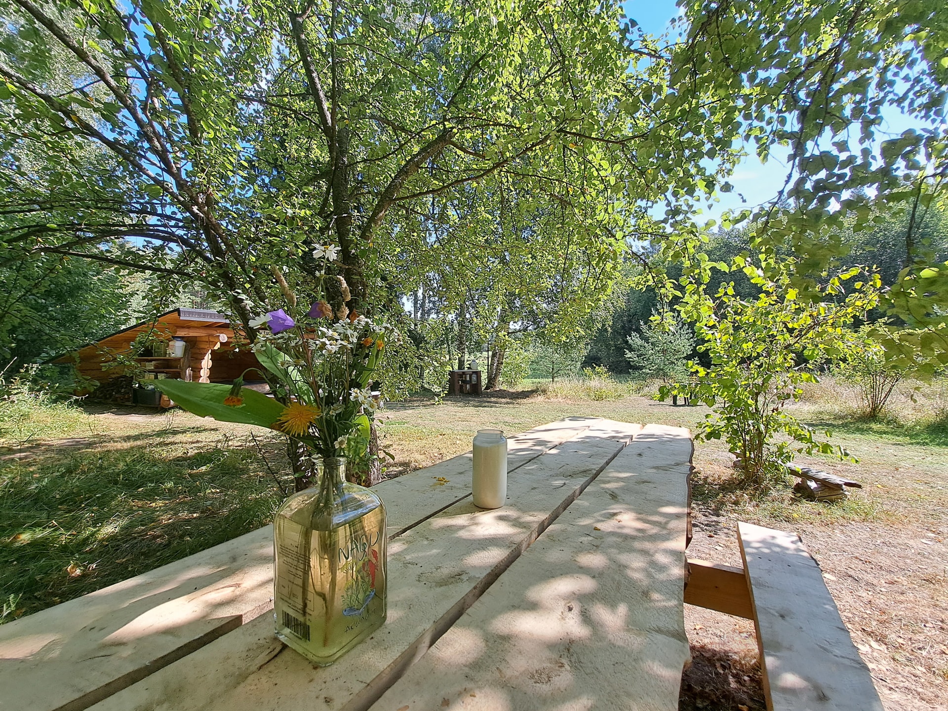 Outdoor table at Naawa Nature Camp