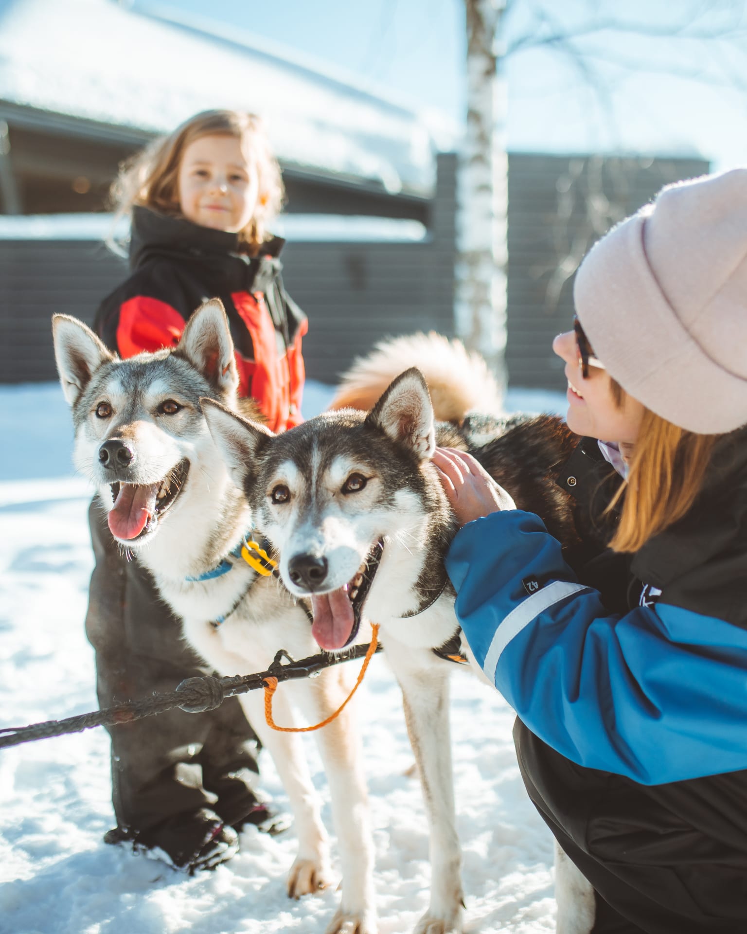 Husky tour at Apukka Resort Rovaniemi Lapland Finland