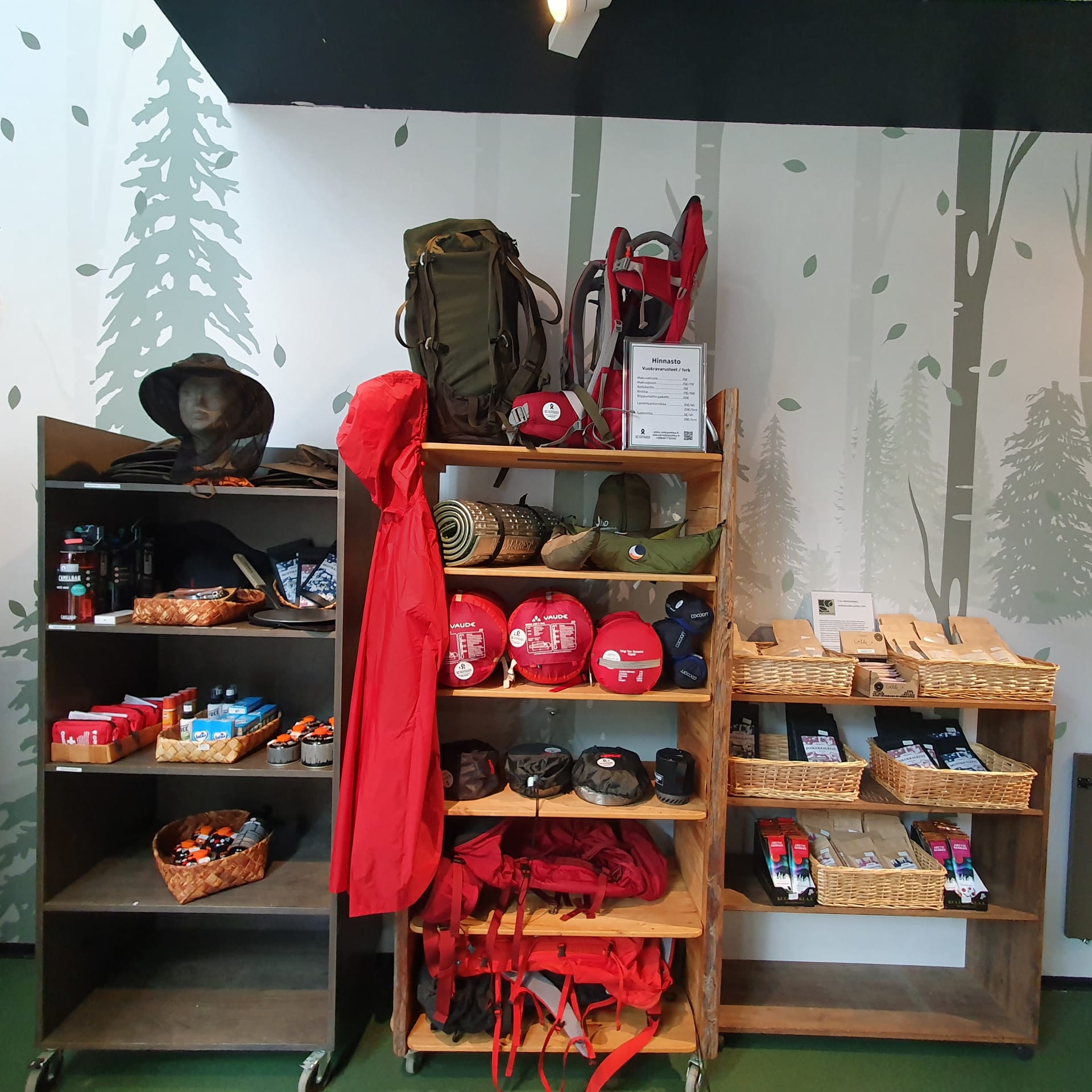 Rental equipment in Koli – Outdoor gear from Koli Nature Centre Ukko ...