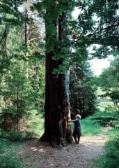 Dineo Seshee Raisibe Bopape: (ka) pheko ye – unen porteilla