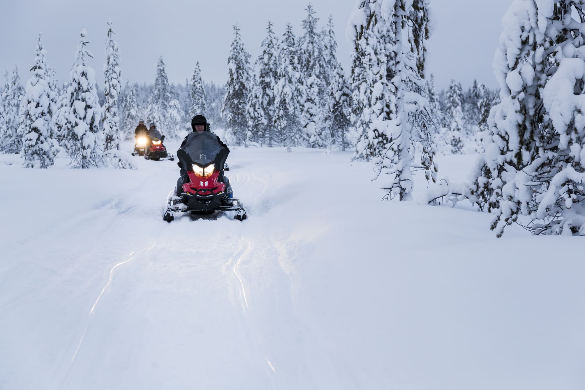 Snowmobiles driving through a snow covered forest