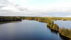 Liesjärvi kyynäränharju
