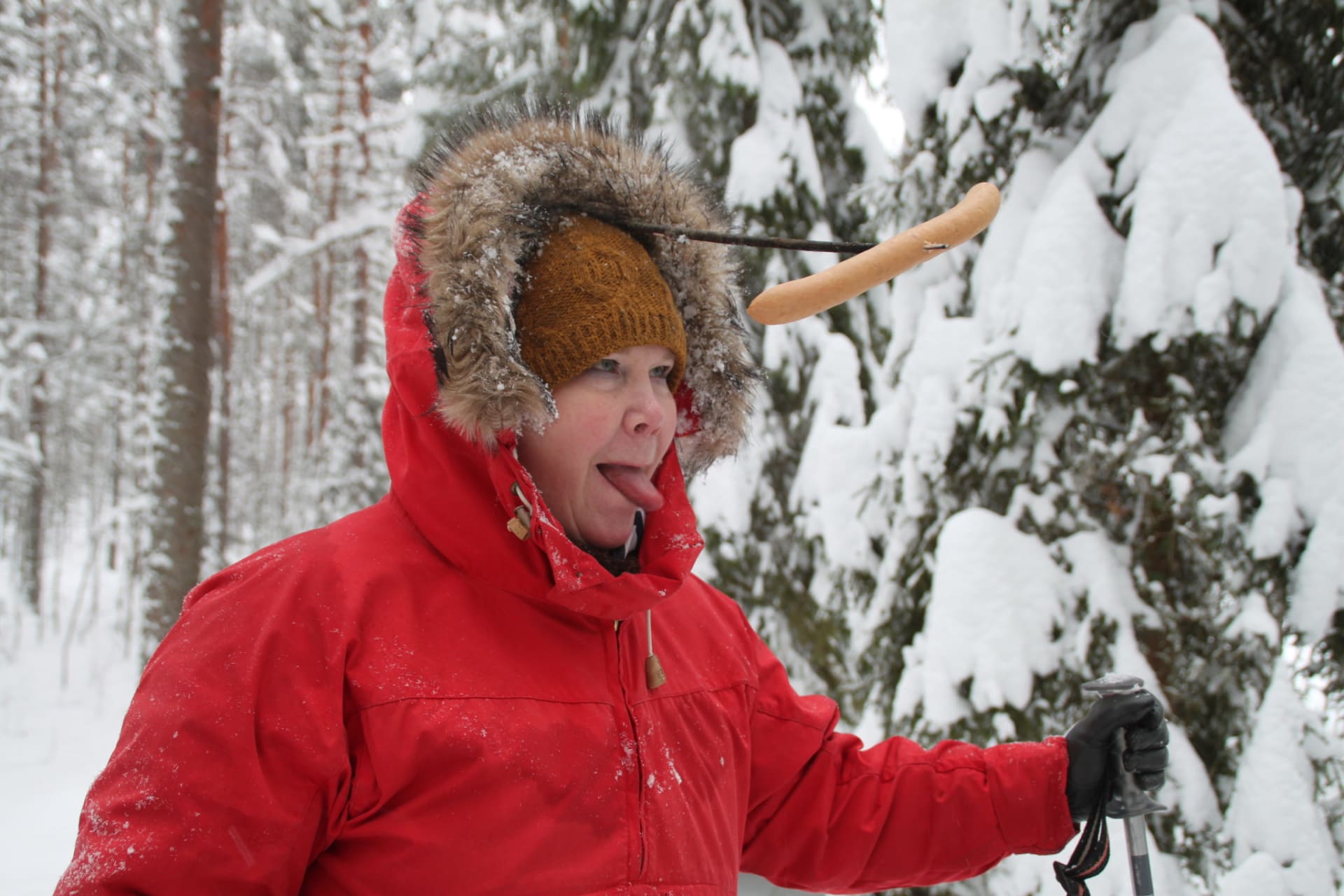 Private excursion to Hyvinkää Sveitsi Wilderness Forest | Visit Finland
