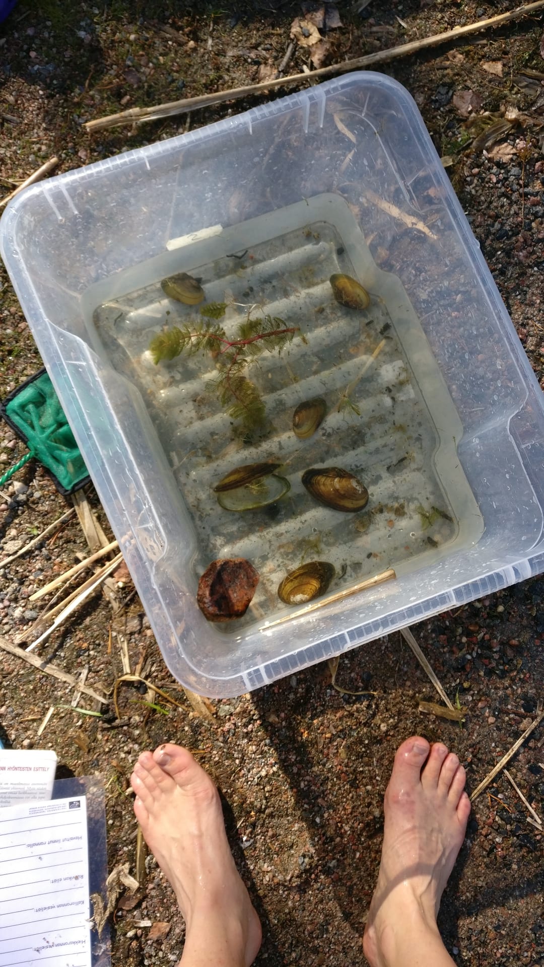 Researching the sea Researching the sea