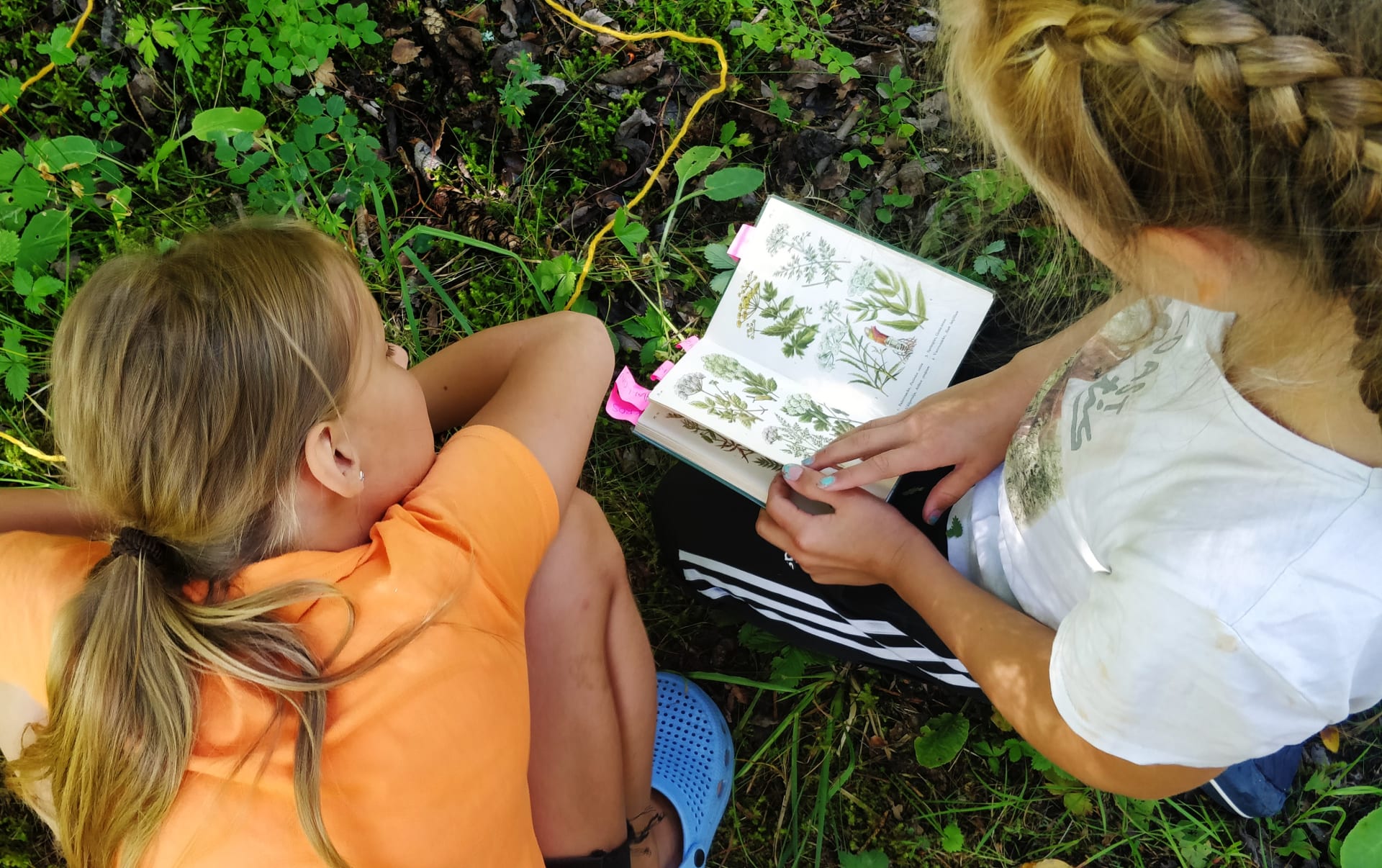 Studying plants