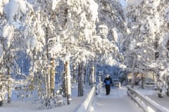 Ranua Resort Winter Arctic Zoo