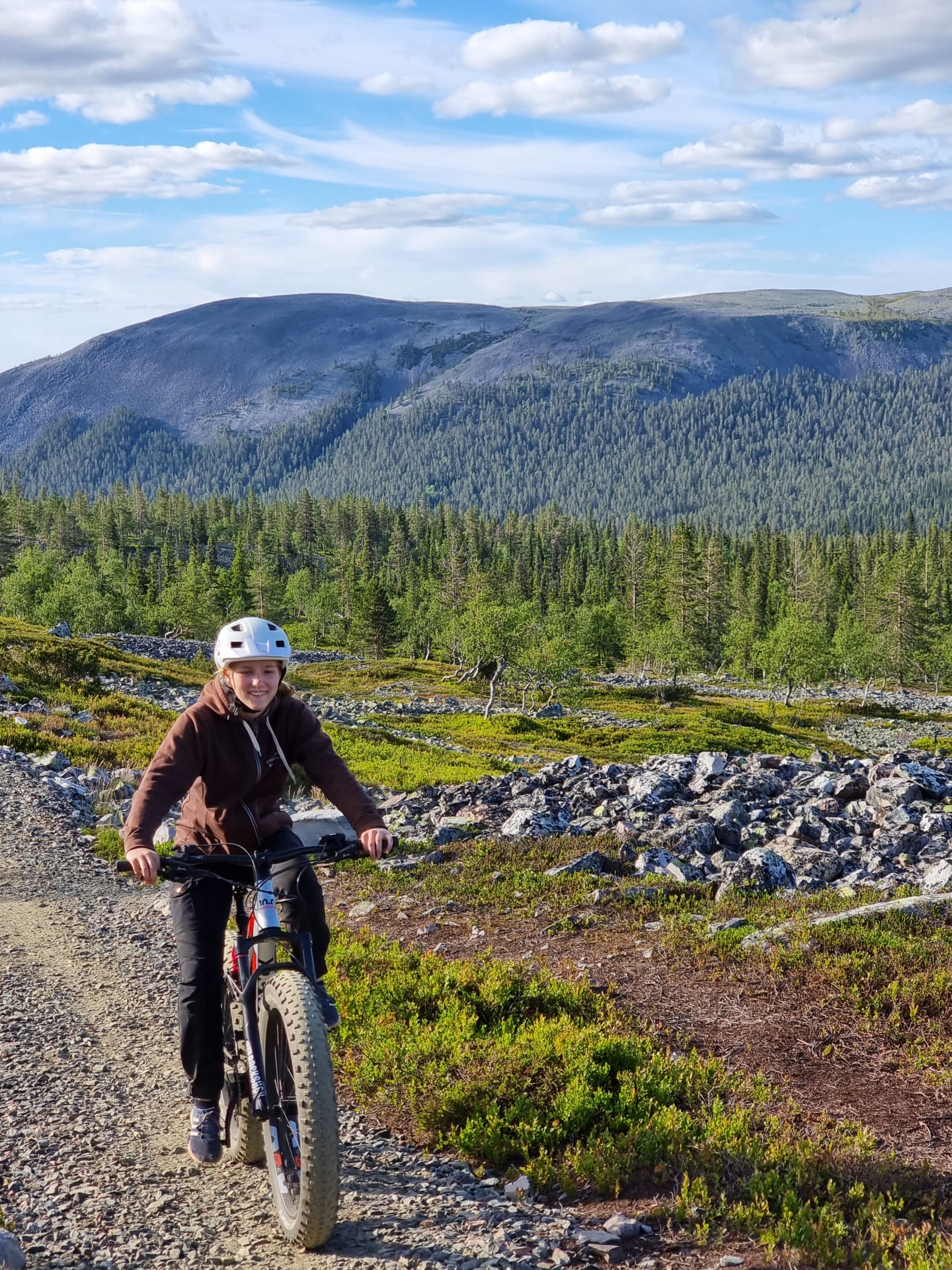 Mountainbiking in Summertime