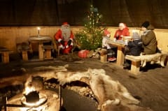 White Reindeer -kota Nuuksion Poropuistossa