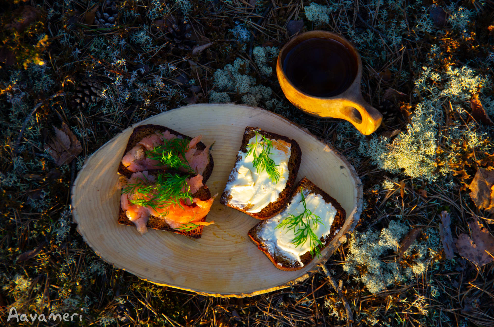 Sea Kayaking, Finland Archipelago Sea Kayaking, Finland Archipelago