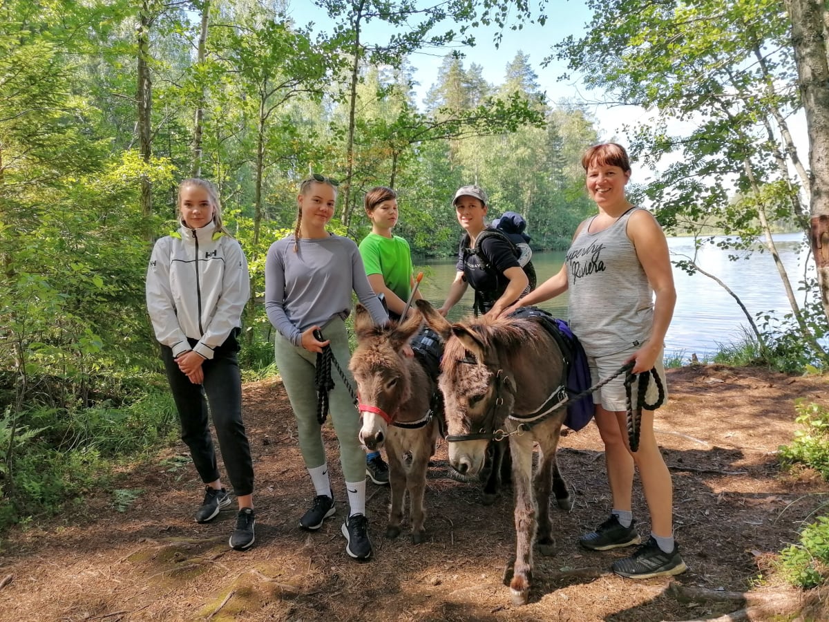 Guided Forest Walks With Donkeys