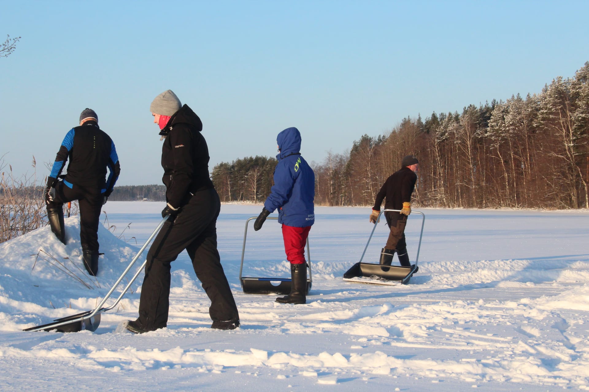 shovelling of snow for seals to build their nests