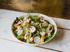 Raikas katkarapusalaatti vihreällä salaattipedillä.