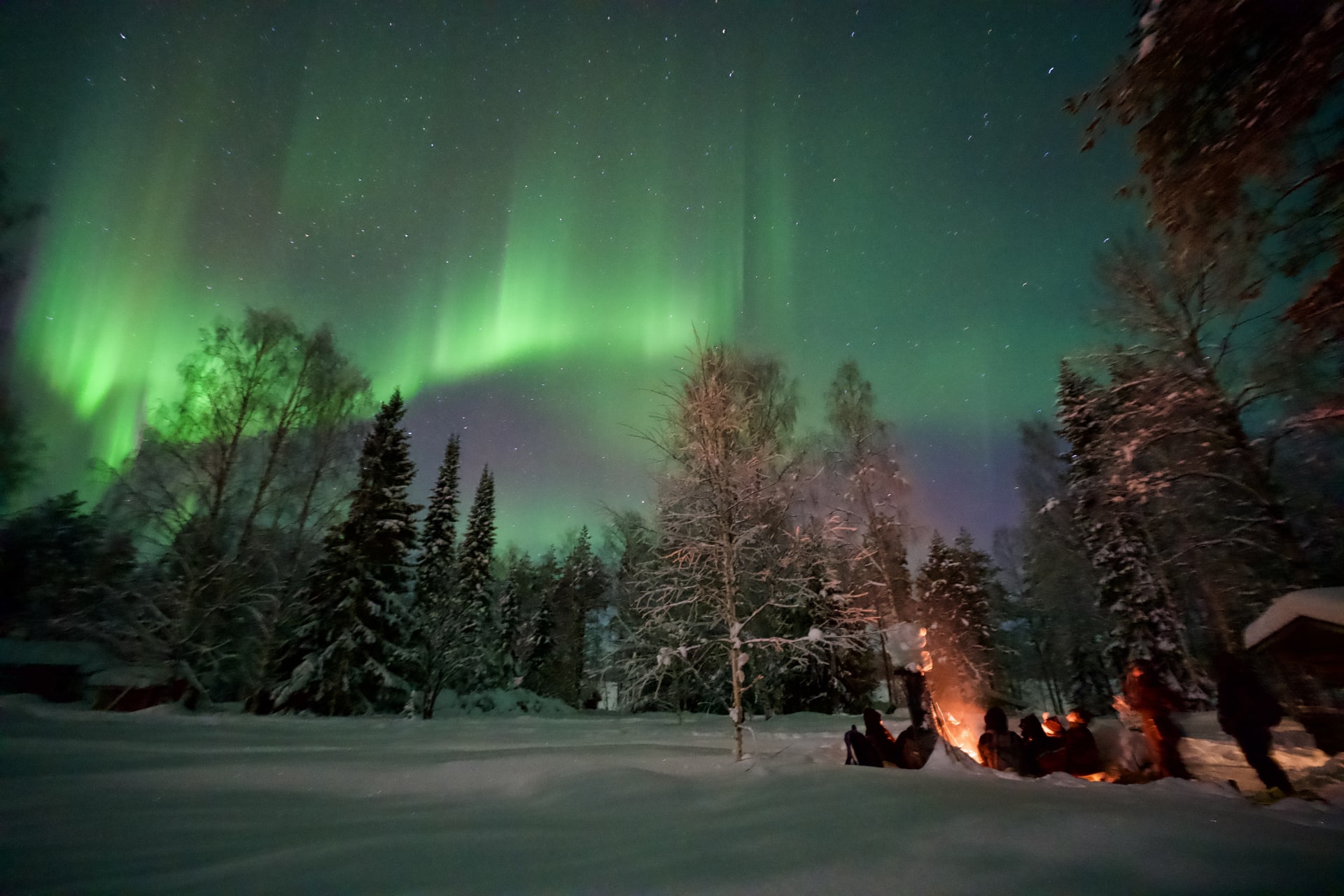 Northern Lights Tour At The Campfire | Visit Finland