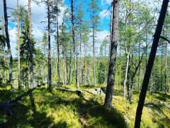 Alkkianvuori hilltop.