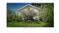 Exterior of the Taidepappila Art Center