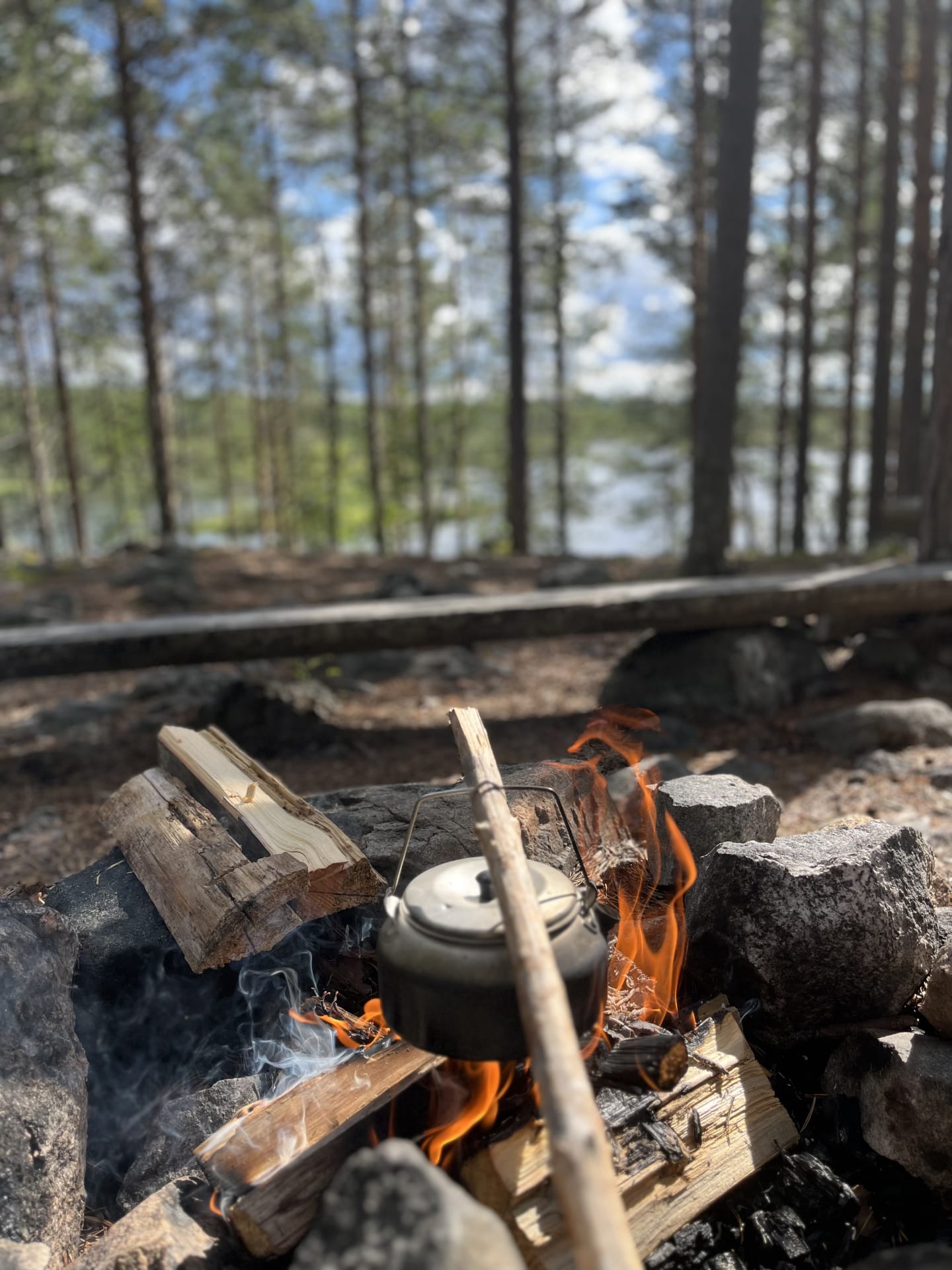 Camp picnic