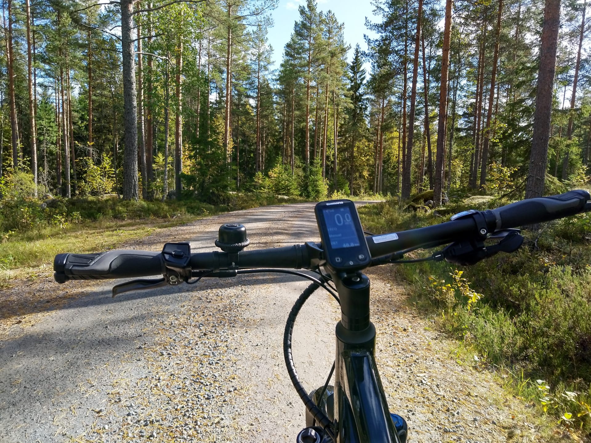 Pyörä metsässä