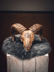 Juminkeon Kalevala-näyttelyt