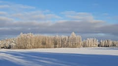 Talvinen maisema pellolle Hykkilän Huviloilla.
