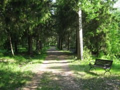 Walking path at Alakestilä Arboretum.
