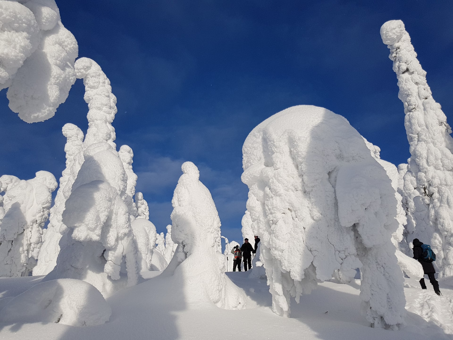 Iivaaran luonnonsuojelualue/Iivaara nature reserve snowshoeing